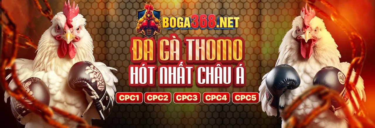 Sân vận động bóng đá với khán giả cổ vũ, biểu tượng cá cược mc876